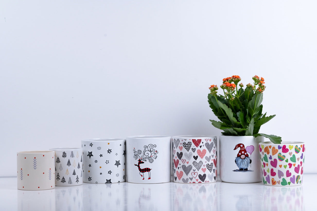 Ceramic Flower Pot – Elegant Home & Garden Planter