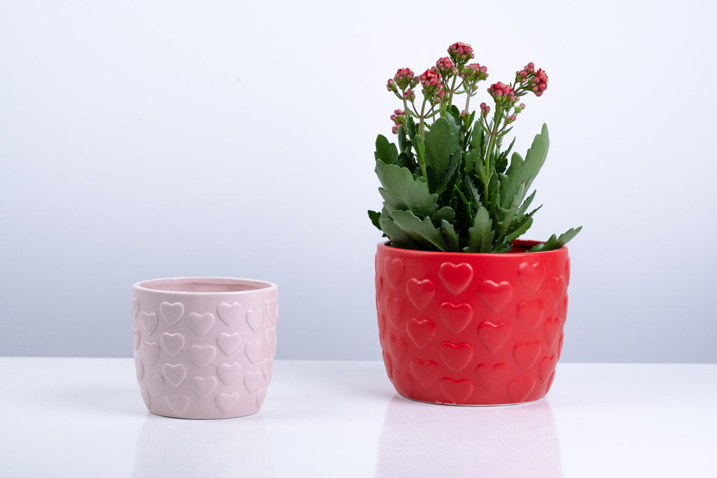 Ceramic Flower Pot – Elegant Home & Garden Planter
